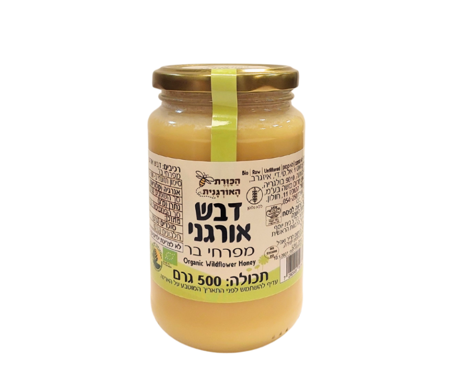 קישור לכתבה