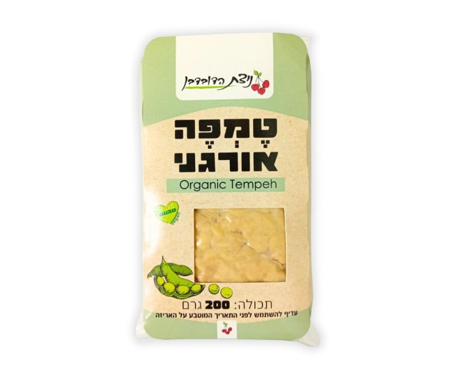 קישור לכתבה